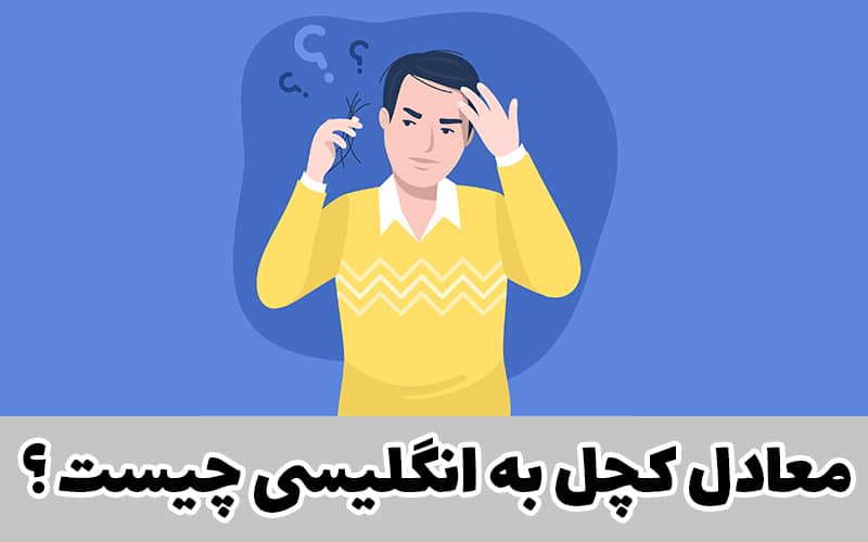 کچل در انگلیسی